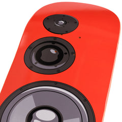 303 Boards - CLFX Speaker Deck (Multiple Sizes)